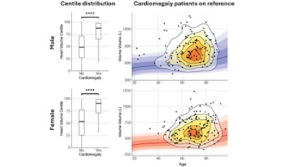 Radiology: Artificial Intelligence tweet media