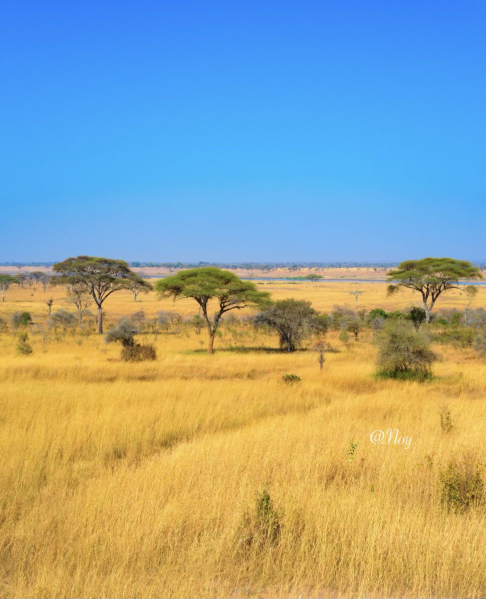 a_natdavanh's tweet image. Good evening my friends 🏜️
Be proud of how far you’ve come, and keep going.

#KeepMoving