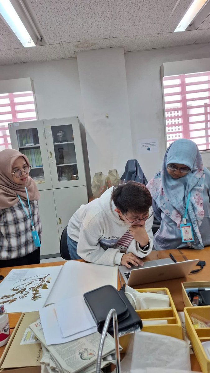 Arcii Naive｜马克 🇵🇭 tweet media