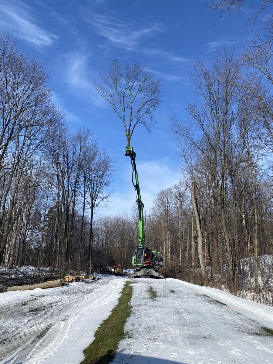 ryanarthur21's tweet photo. Sometimes you need to call in the big guns! #treetech Opening up our 18th tee complex! @CobbleHillsGolf #makinmulch https://t.co/fVmJaGslJL