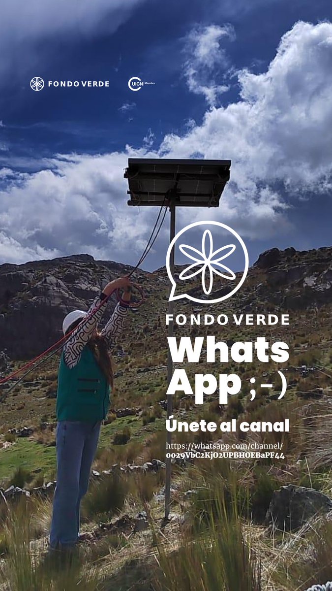 Fondo Verde tweet media