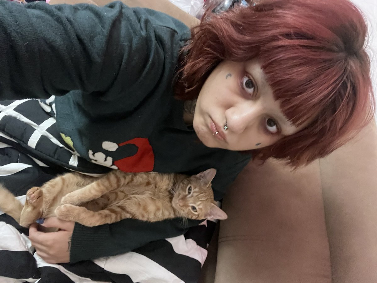 LithaShinigami's tweet image. سلام
ایشون پیشیه 
سرپرستیش رو به عهده گرفتم
بعد چند ماه بهم گفتن کلسی داره و همچنین یکی از بیضه هاش تو شکمش گیر کرده باید حراجی بشه که تبدیل به تومور نشه 
من تو این اوضاع به تنهایی از پس هزینه ش بر نمیام :(
ممنون میشم هرچقدر که در توانتونه کمکم کنید
6274-1211-8984-9177
جلیله وند