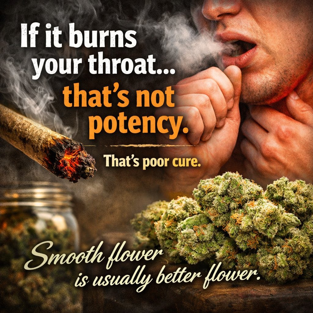 ValuedBud l Premium Flower tweet media