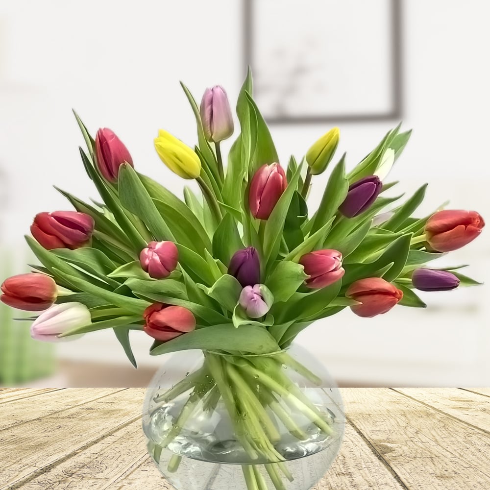 Rosenbote's tweet photo. Der Frühling ist da – und mit ihm unsere frischen Tulpen! 🌷

Überrasche deine Lieblingsmenschen mit einem Frühlingsgruß von Rosenbote.

Jetzt Freude verschicken &amp; Herzen erwärmen

#Tulpenzeit #Frühlingsgrüße #Blumenversand #Rosenbote #Frühling2026

https://t.co/vTjnmQX10k https://t.co/0EWMrBZ9vV