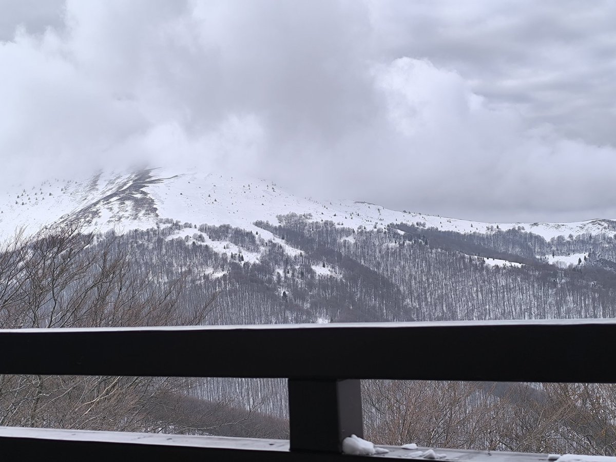 certainty tweet media