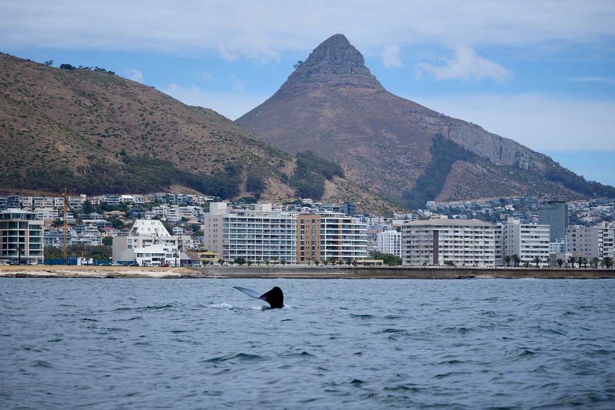 SANParks TMNP tweet media