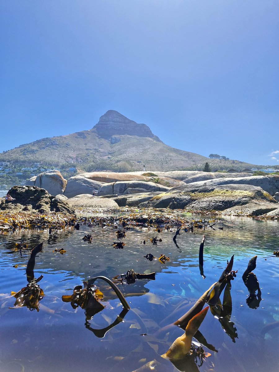 SANParks TMNP tweet media