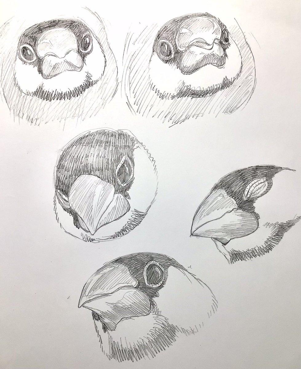 新井英樹 Hideki Arai 『ピとポとまちながら』1月9日(金)発売のコミックビームから！ tweet media