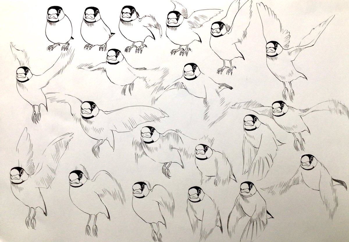 新井英樹 Hideki Arai 『ピとポとまちながら』1月9日(金)発売のコミックビームから！ tweet media