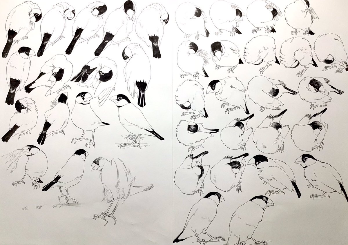 新井英樹 Hideki Arai 『ピとポとまちながら』1月9日(金)発売のコミックビームから！ tweet media