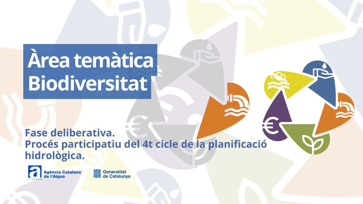 🗓️ 𝗗𝗶𝗷𝗼𝘂𝘀 19/02, | 𝗗𝗲𝗯𝗮𝘁 𝗽𝗿𝗲𝘀𝗲𝗻𝗰𝗶𝗮𝗹: 𝗔𝗶𝗴𝘂𝗮 𝗶 recuperació de riberes a Girona
📍 Seu Delegació Territorial del Govern de la Generalitat a Girona Pça. Pompeu Fabra, 1, 17002 Girona
 🕒 17:00 h - 19:00 h

🔗 Inscripció i més info: participa.gencat.cat/processes/plan…