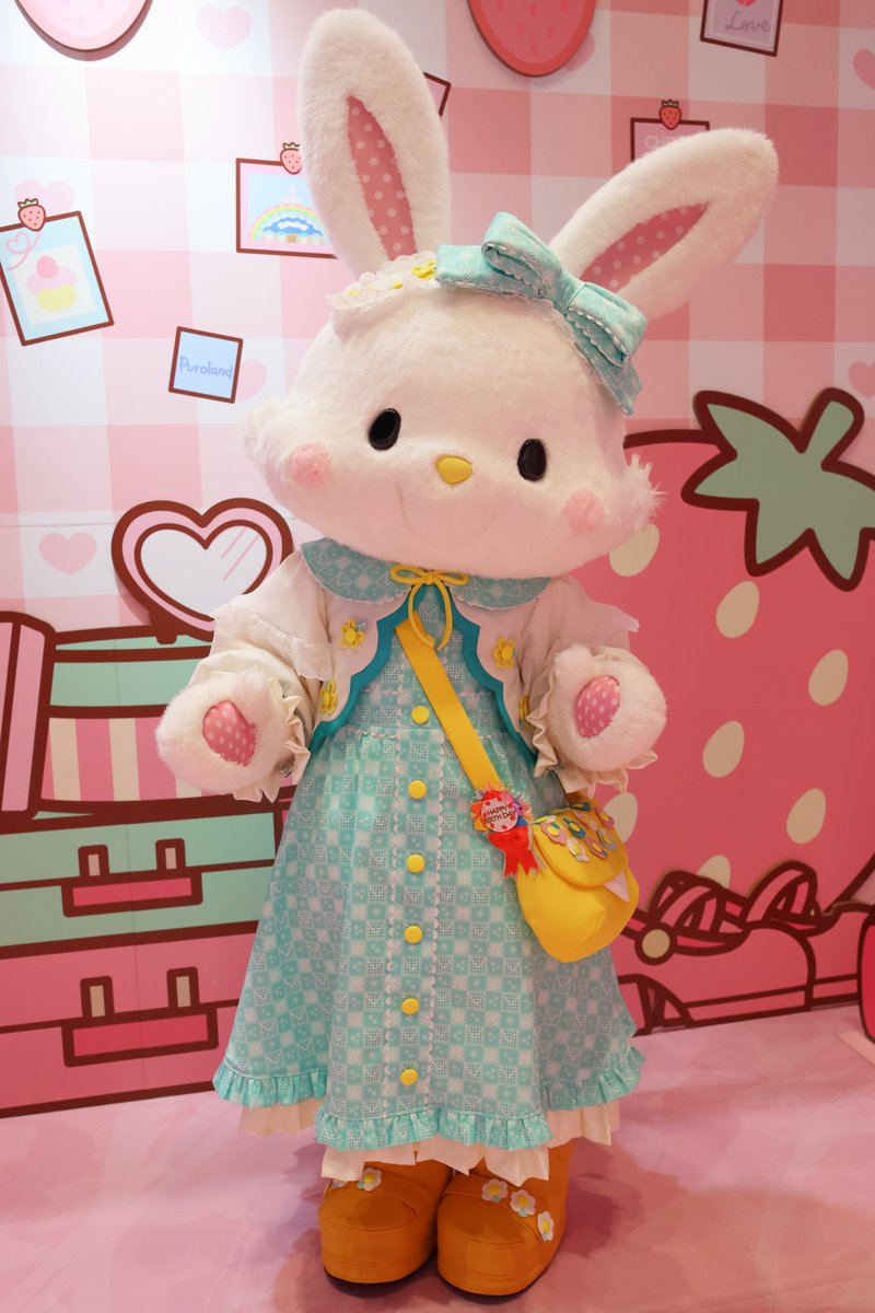 ウィッシュミーメル メルちゃん💚🐰 #ウィッシュミーメル