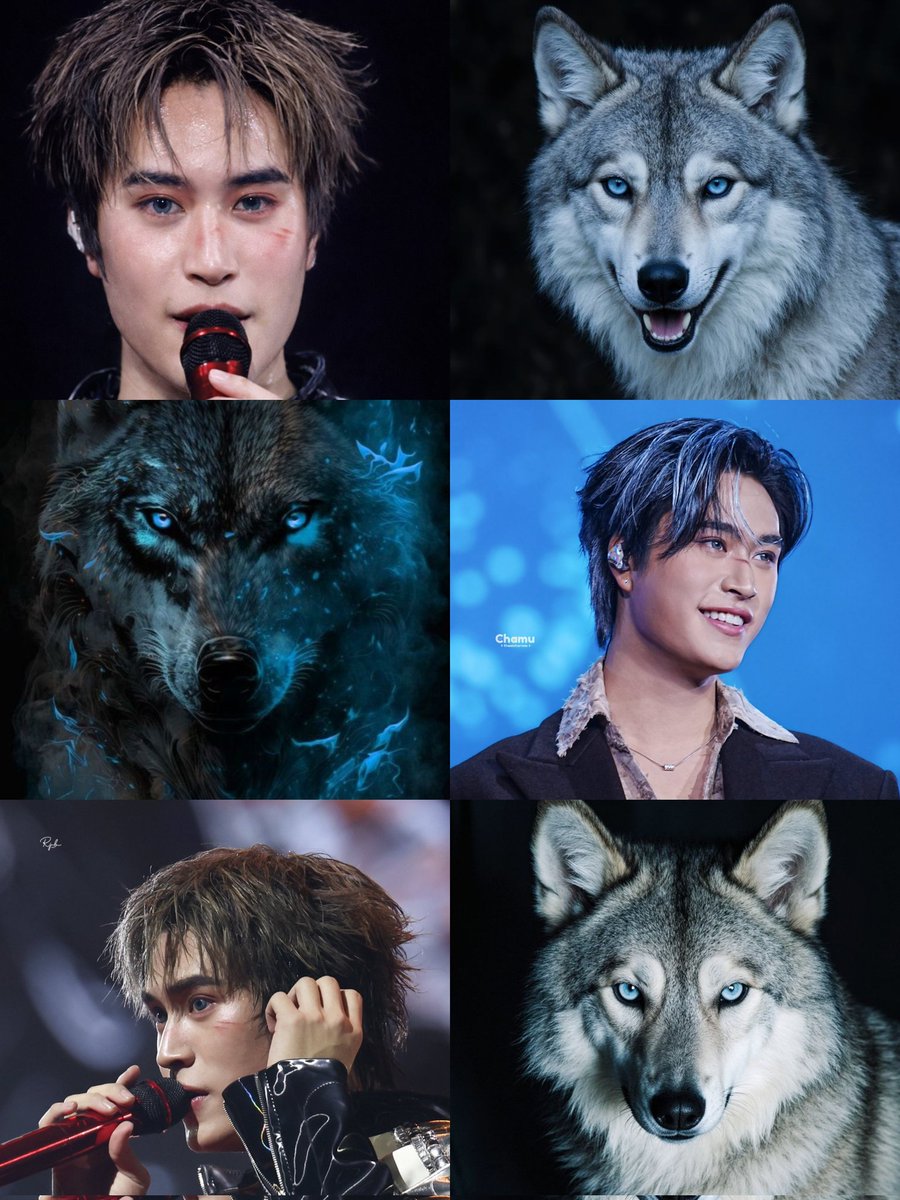 blue-eyed wolf gemini🐺💙

#Gemini_NT #เจมีไนน์