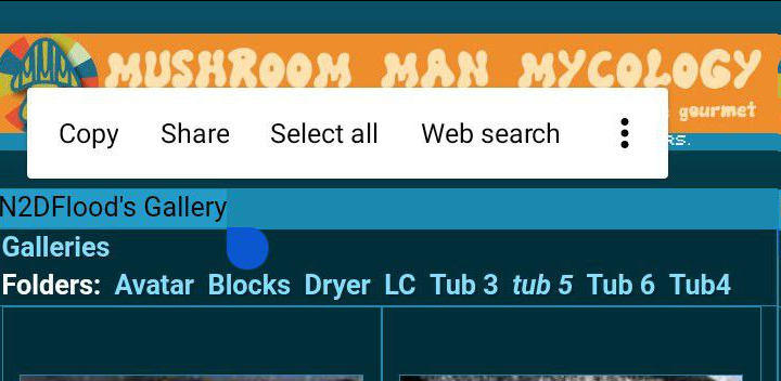 realtuberb88905's tweet photo. If you look at the Chocktow @OMGitsFlood Youtube and Parler you can see his username "N2dflood" which he also uses FOR HIS ILLEGAL MUSHROOM GROWING FORUM!! AMAZING!!  https://t.co/8xrdwkVE2R https://t.co/5iNG7Frmgx
