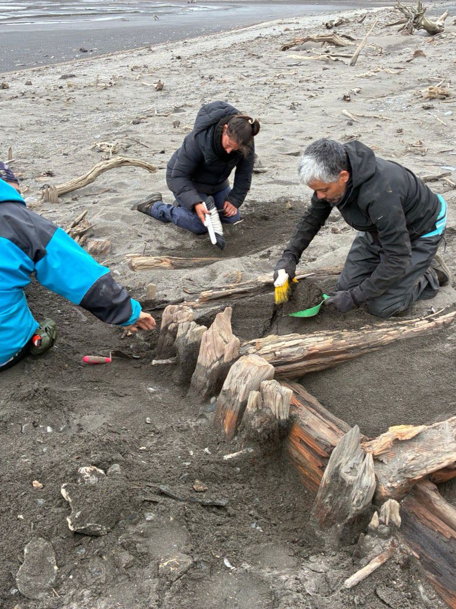 CAMPAÑA ARQUEOLÓGICA DE LA UBA: “AQUÍ HAY DRAGONES” 🔎🦴

El Grupo de Estudios de Arqueología Histórica de Frontera perteneciente al Instituto de Arqueología recorrió e investigó la Isla de los Estados, al sur del continente.