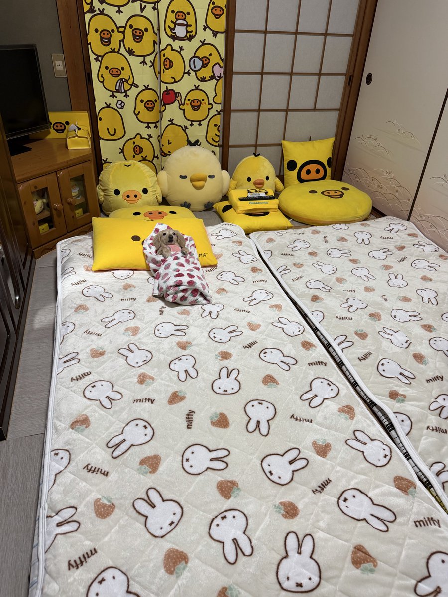 kuu_raira1717's tweet image. 待ってるね……