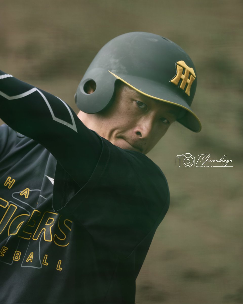 Photo:2026/02/18 阪神タイガース #5 近本光司 選手 in 宜野座村野球場