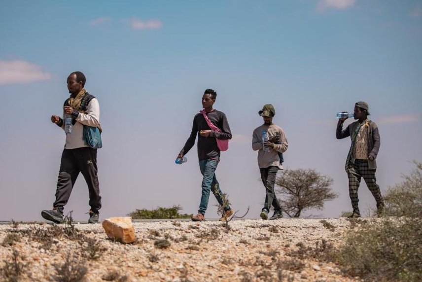 IOM East, Horn and Southern Africa 🇺🇳 tweet media