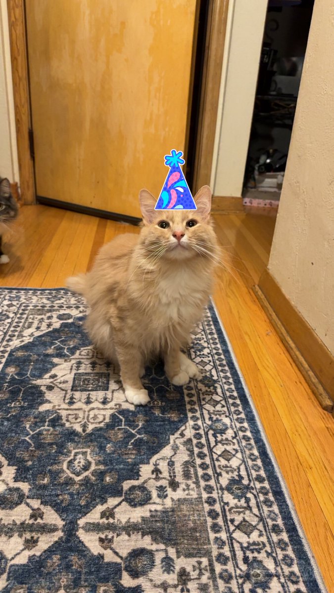 Freddie & Smokey tweet media