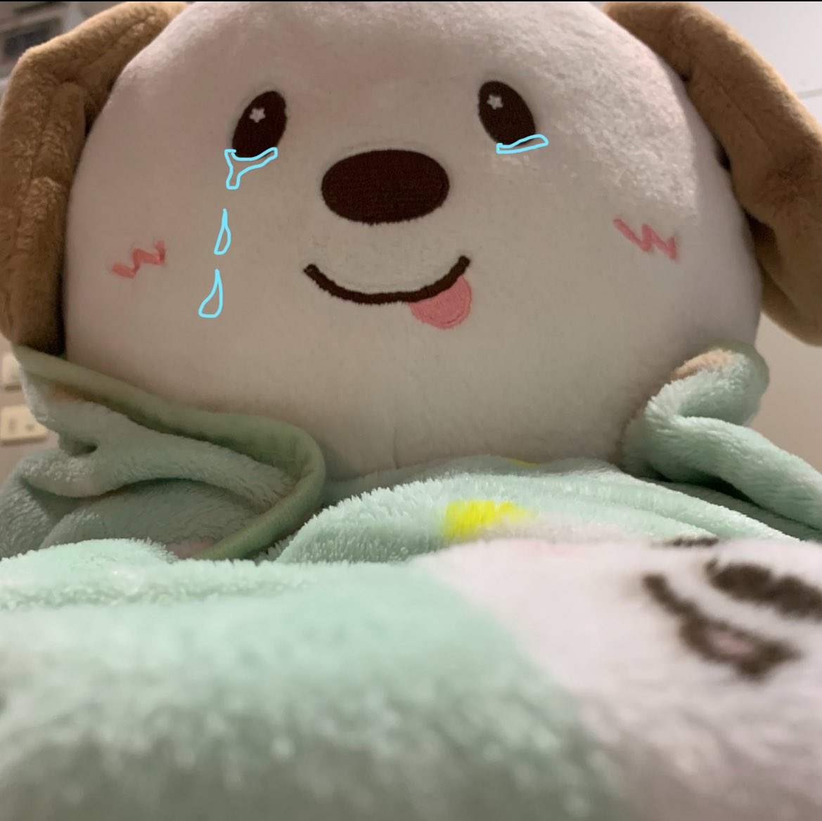 ทุกคนคับ… ขอกำลังใจหน่อยคับ…. ตอนนี้มีผลงานที่ส่งเข้ามาจำนวนทั้งหมด 1 ผลงาน เท่านั้น.. เหลือเวลาอีก 2 วัน ก็จะครบกำหนดวันส่งผลงาน🥹

มาพาแอนตันไปขึ้นจอทั่วประเทศไทยกันค่ะ T-T 🩵🩵