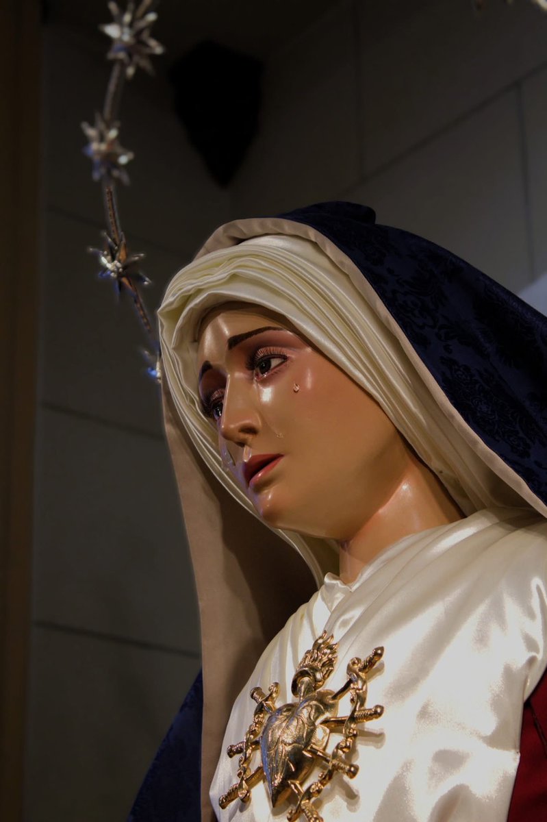 𝐕𝐄𝐒𝐓𝐈𝐌𝐄𝐍𝐓𝐀 ||

María Santísima de la Piedad, ataviada de hebrea en Cuaresma, viste saya burdeos, manto azul y rostrillo beige. Porta el corazón en el pecho y sostiene al Cristo de las Cinco Llagas, reflejando la sobriedad y recogimiento del tiempo litúrgico.