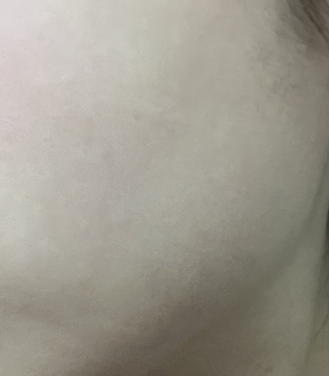 나뭇가지(상태:좋음) tweet media