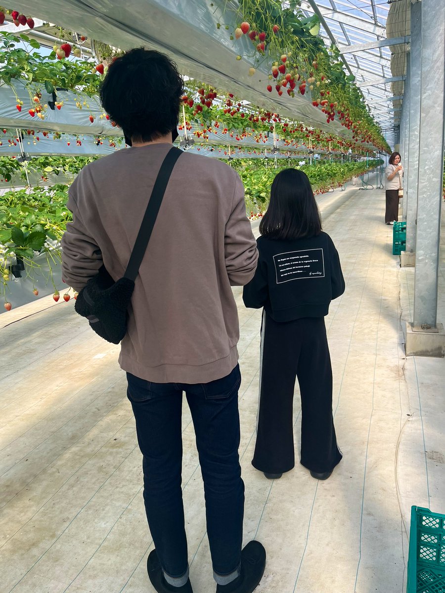 Pan22_no's tweet photo. いちご狩りしてきた🍓⸝⸝꙳ https://t.co/Ax1UbceDFU