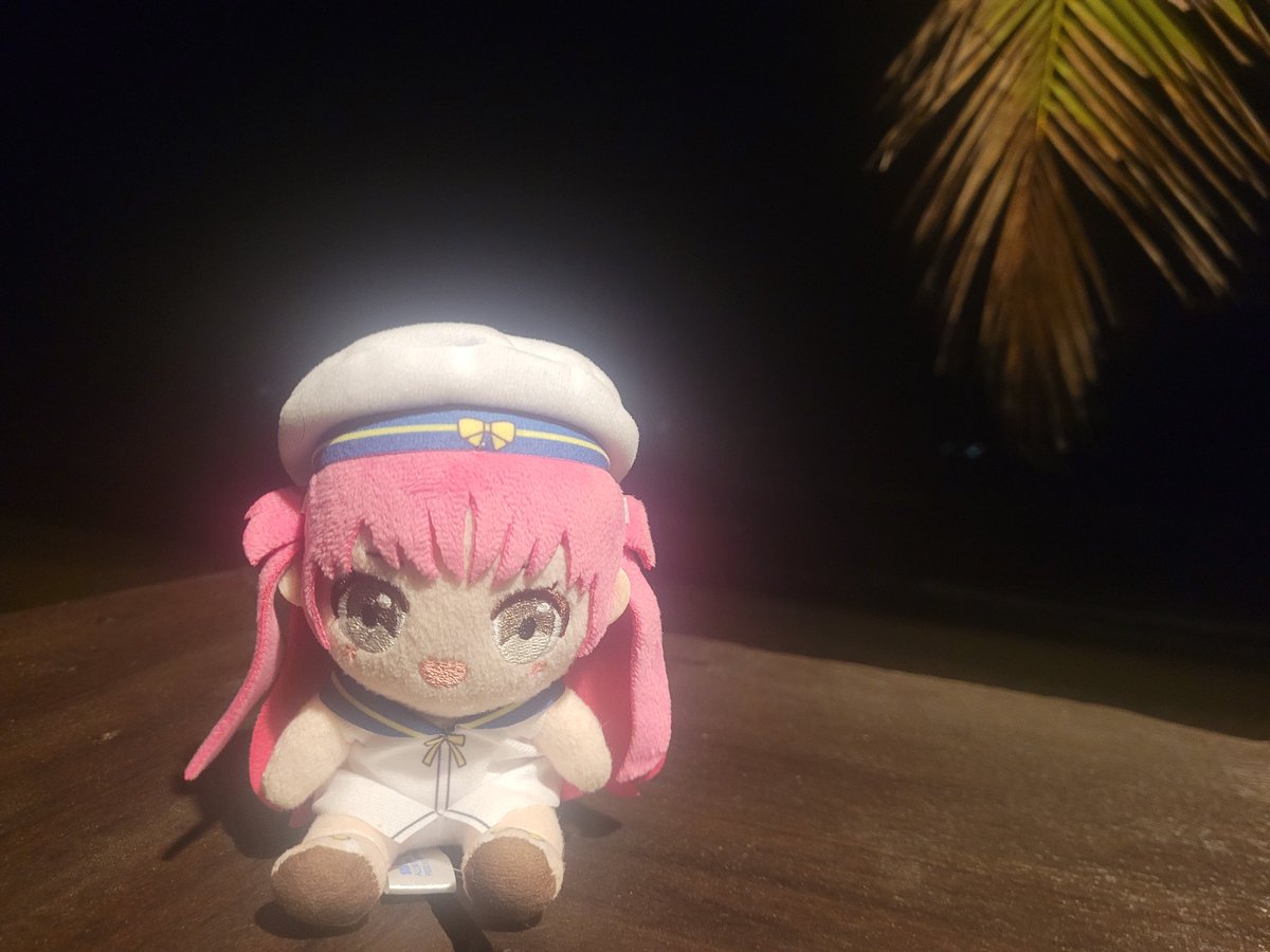 TookoUmi's tweet photo. fUmi diary no.26
Umi at the beach at night https://t.co/8cDl1Jcqm9