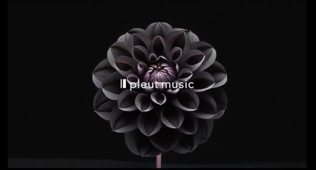 鈴木将太 / Il pleut.music (イルプル・ミュージック) tweet media