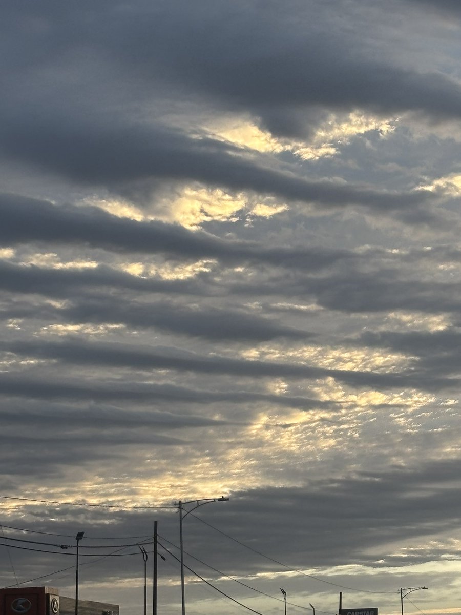 Catherine M, M.Ed. tweet media