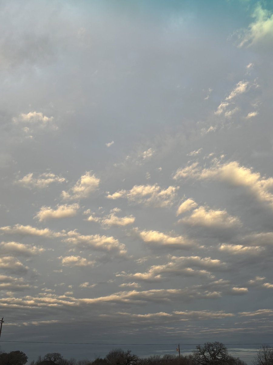 Catherine M, M.Ed. tweet media