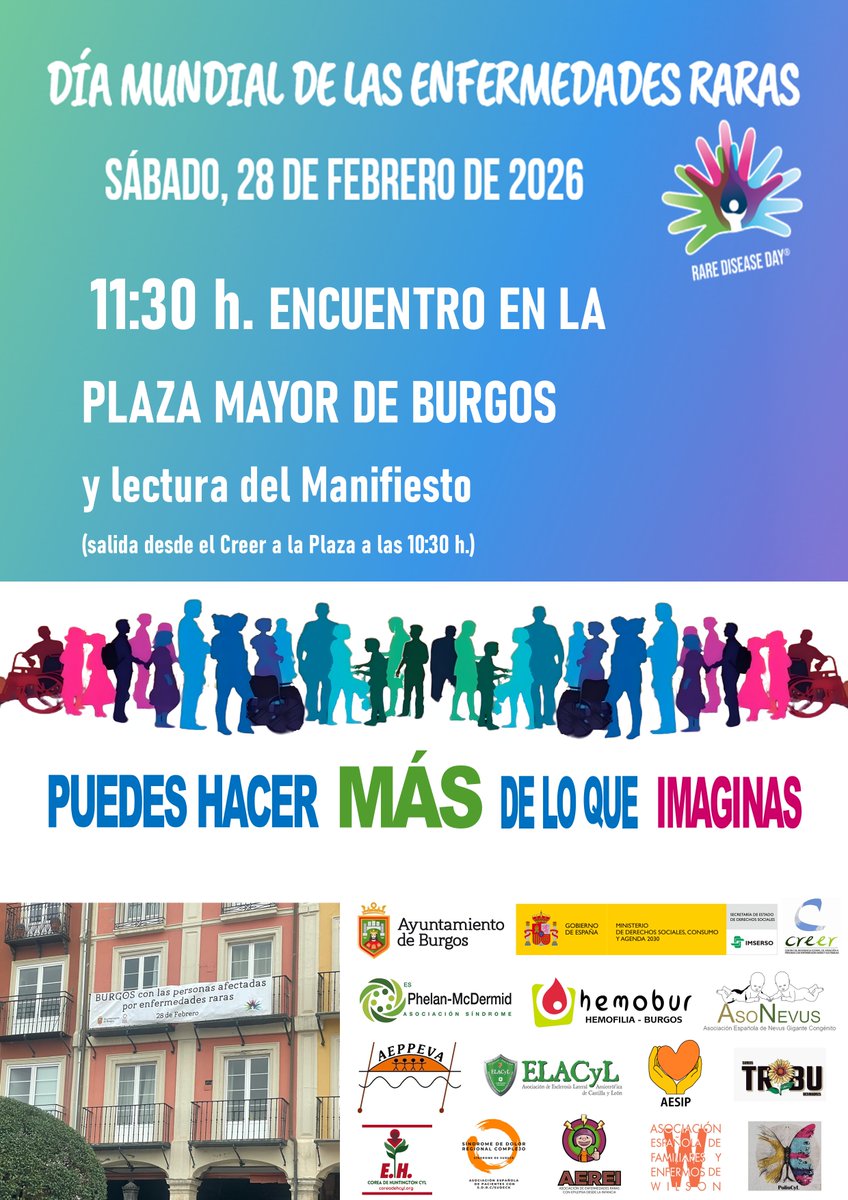 Creer Imserso tweet media