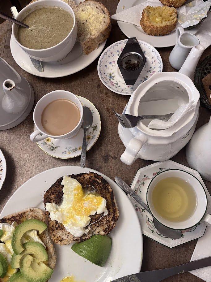 caladenia (10/52) tweet media