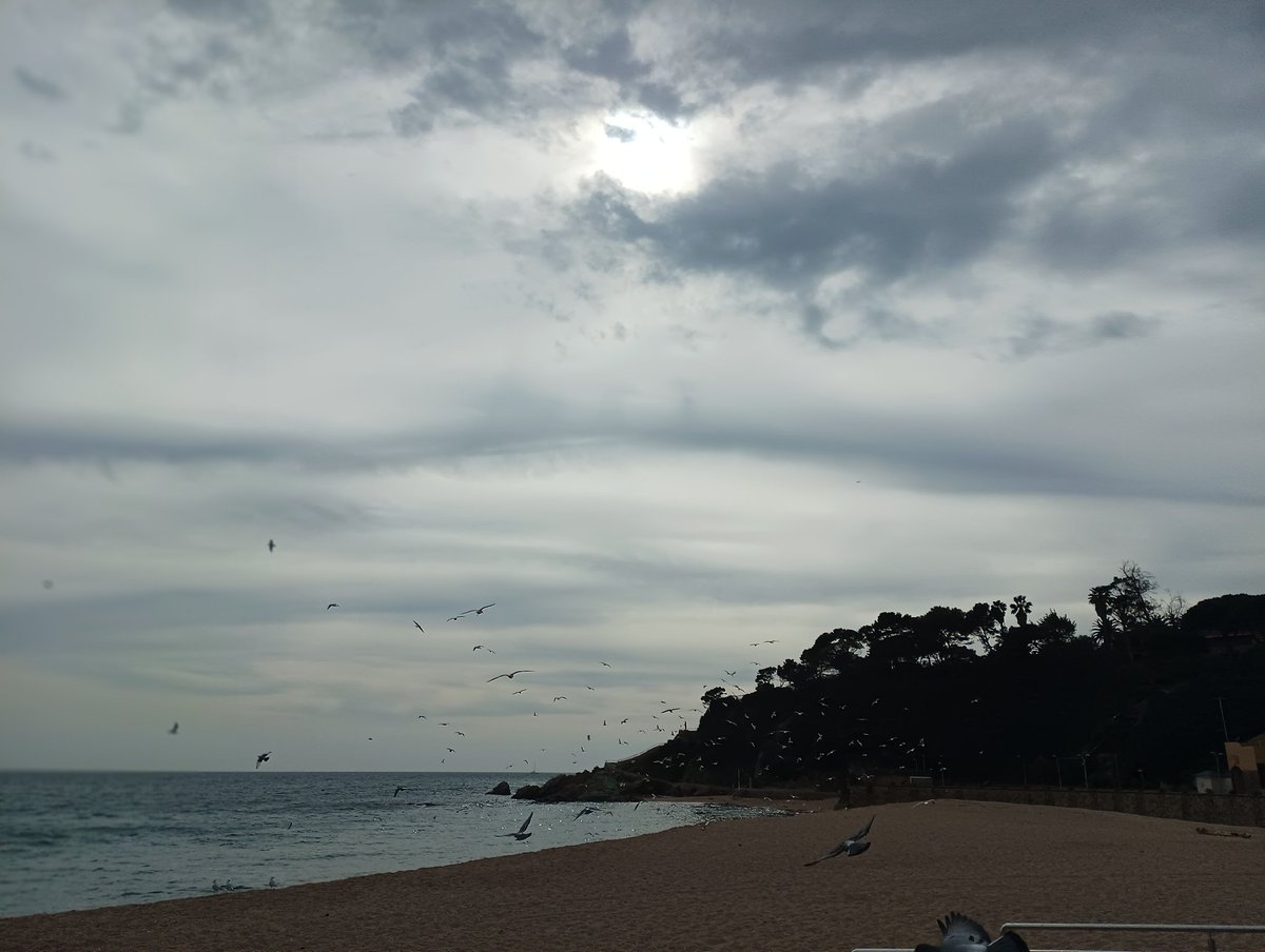 Así está el mar en Lloret