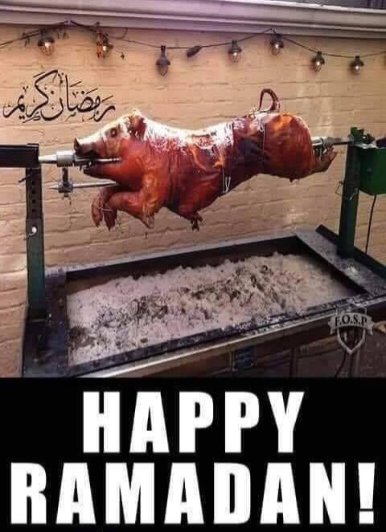 Massimo (@massimo65755300) on Twitter photo 