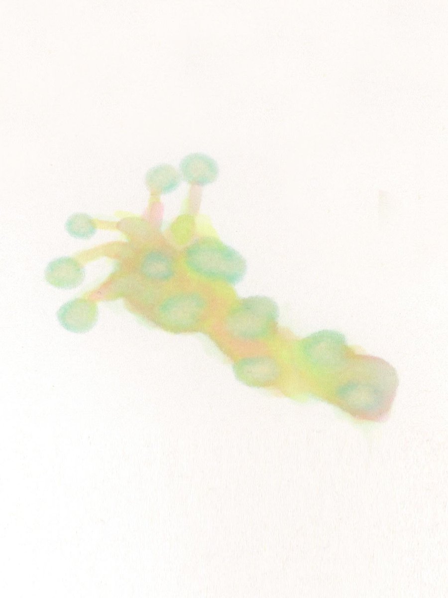 Y o o j i n tweet media