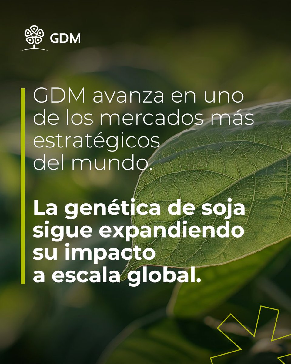 GDM tweet media