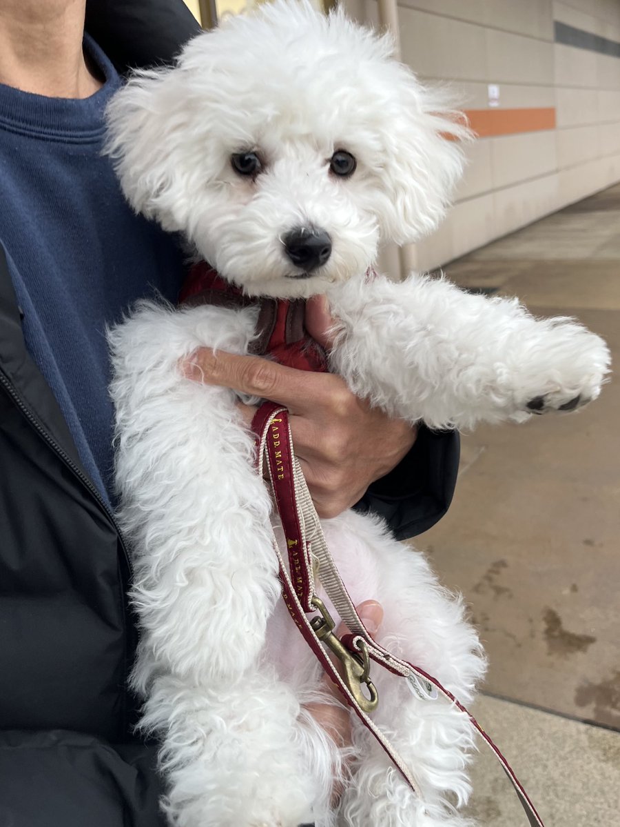 おこめ (@okookome_) on X