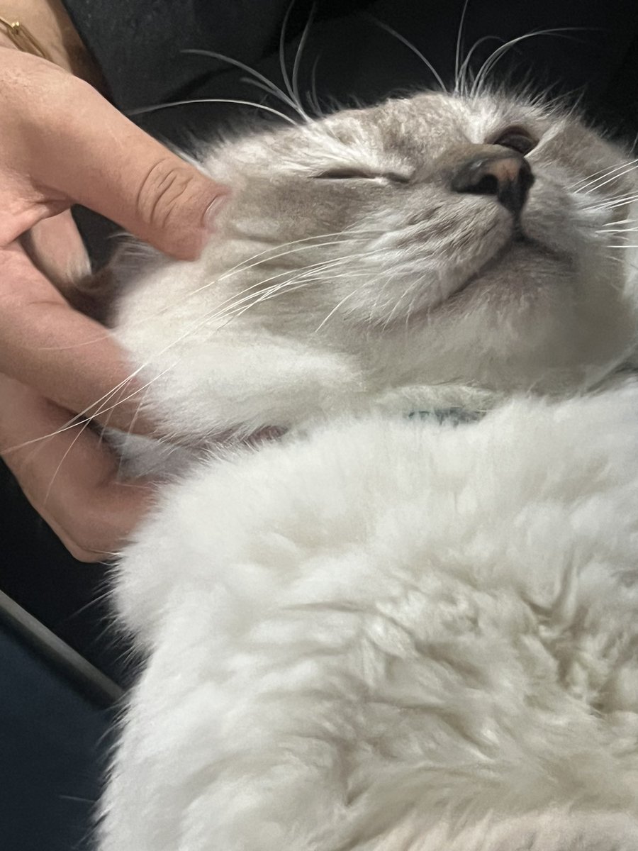 put the boy in the pot!!