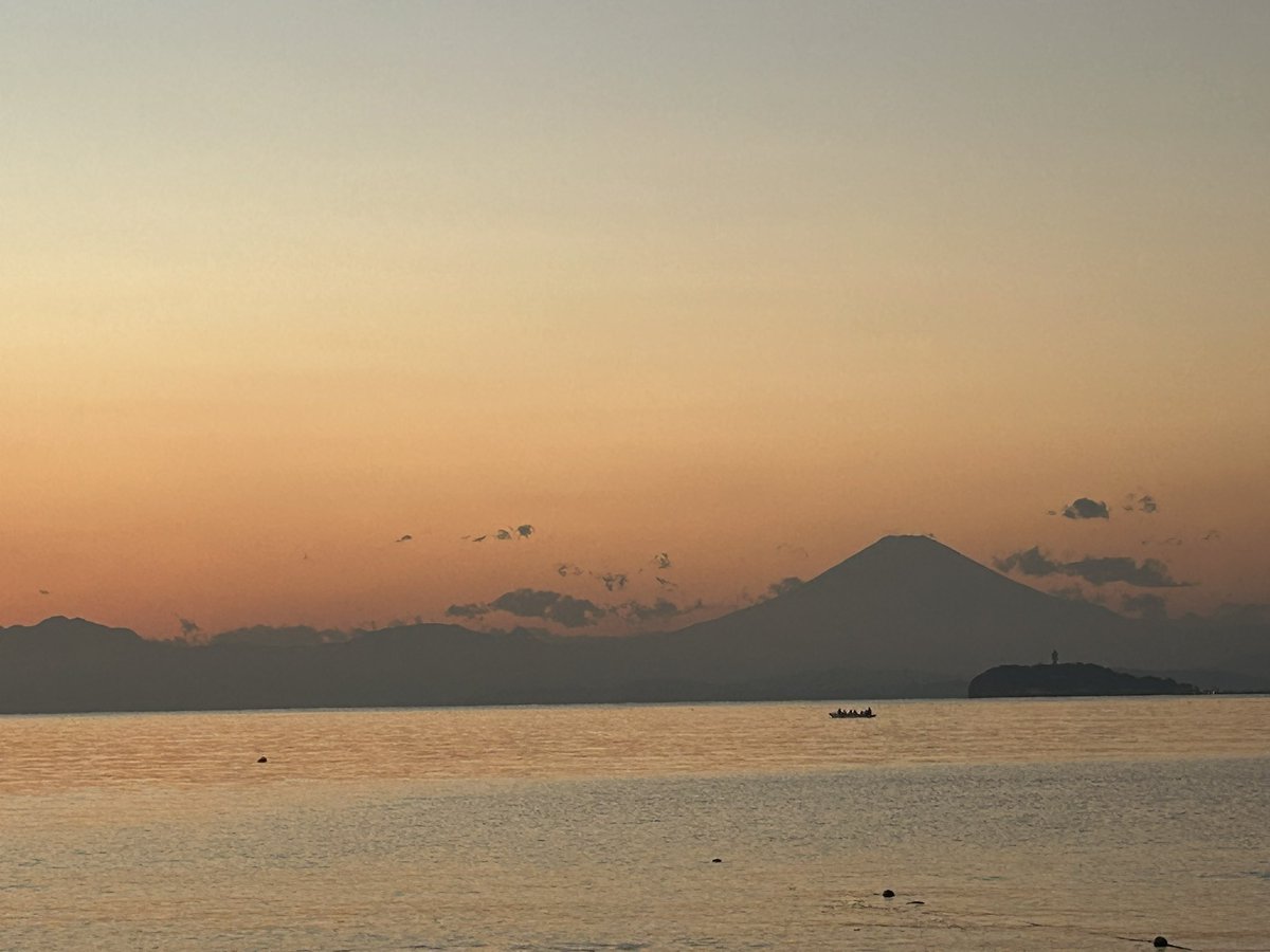 moofire🍉🐾💚🦌 tweet media