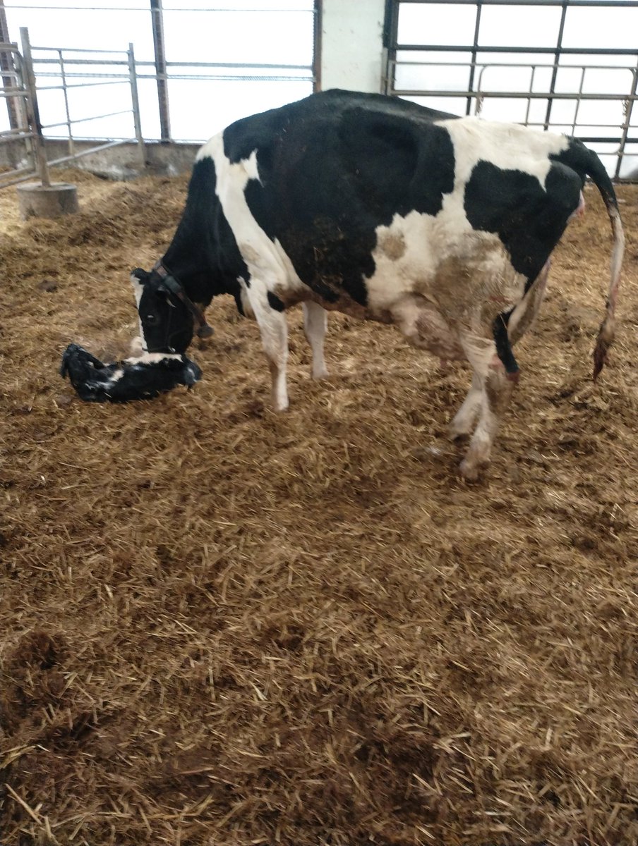 Doug Johnston tweet media