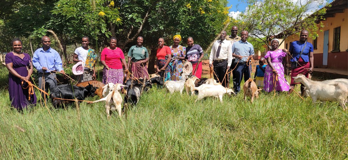 TSURO Trust tweet media