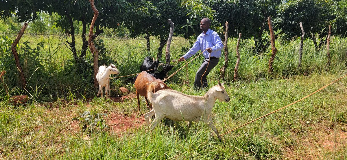 TSURO Trust tweet media