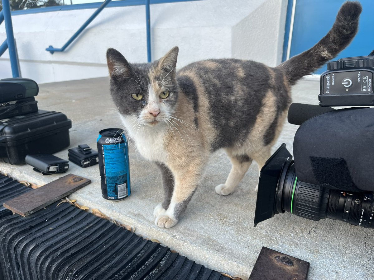 Ryan French FOX13 tweet media