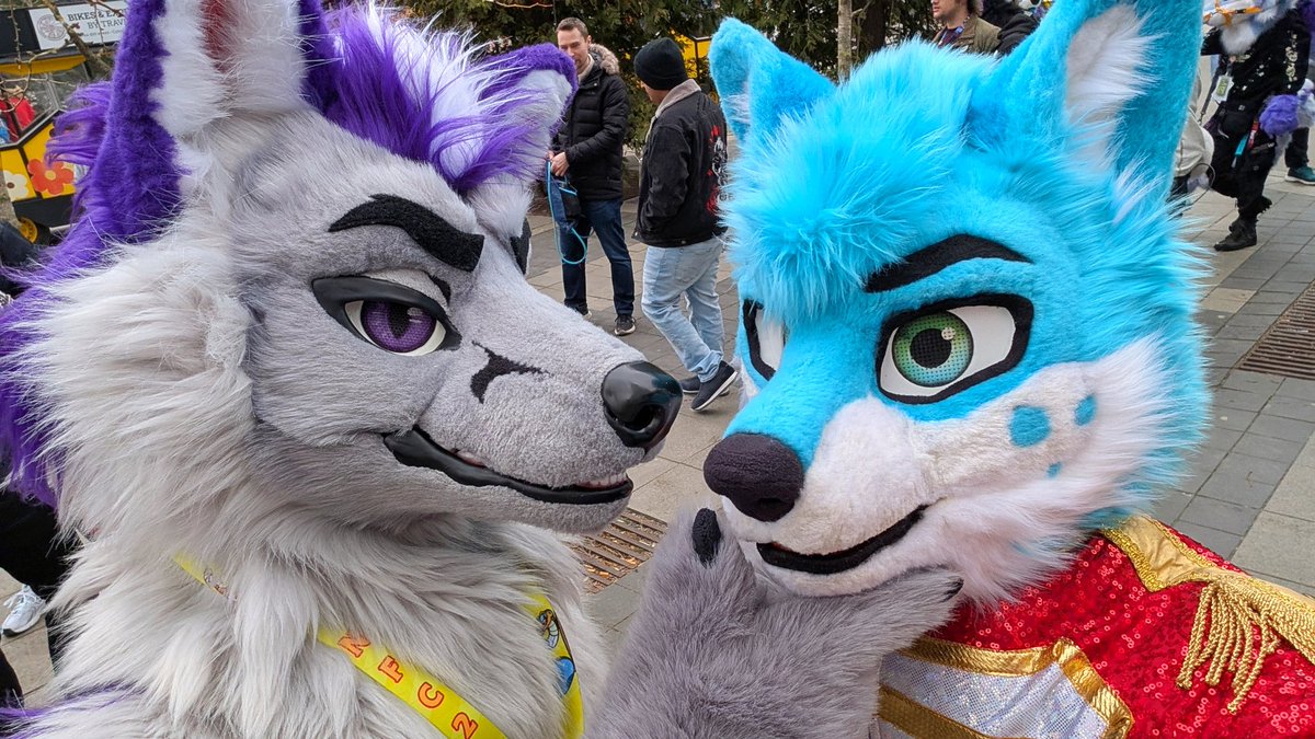 ❄️ ꜱɪʟᴏ ᴛʜe ꜰᴏx 🔜 NFC ❄️ tweet media