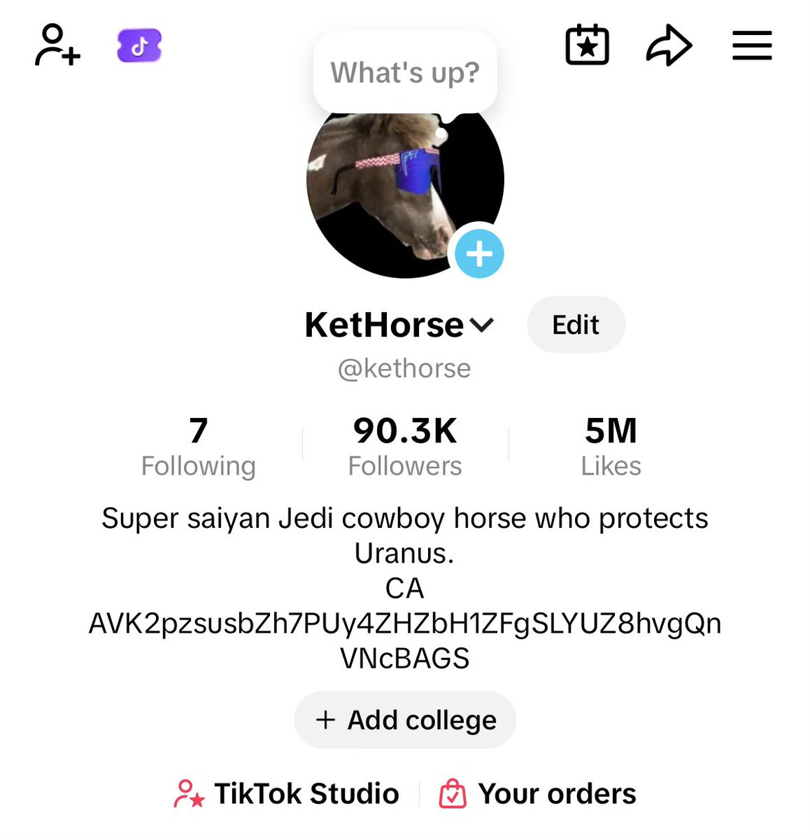 KetHorse tweet media