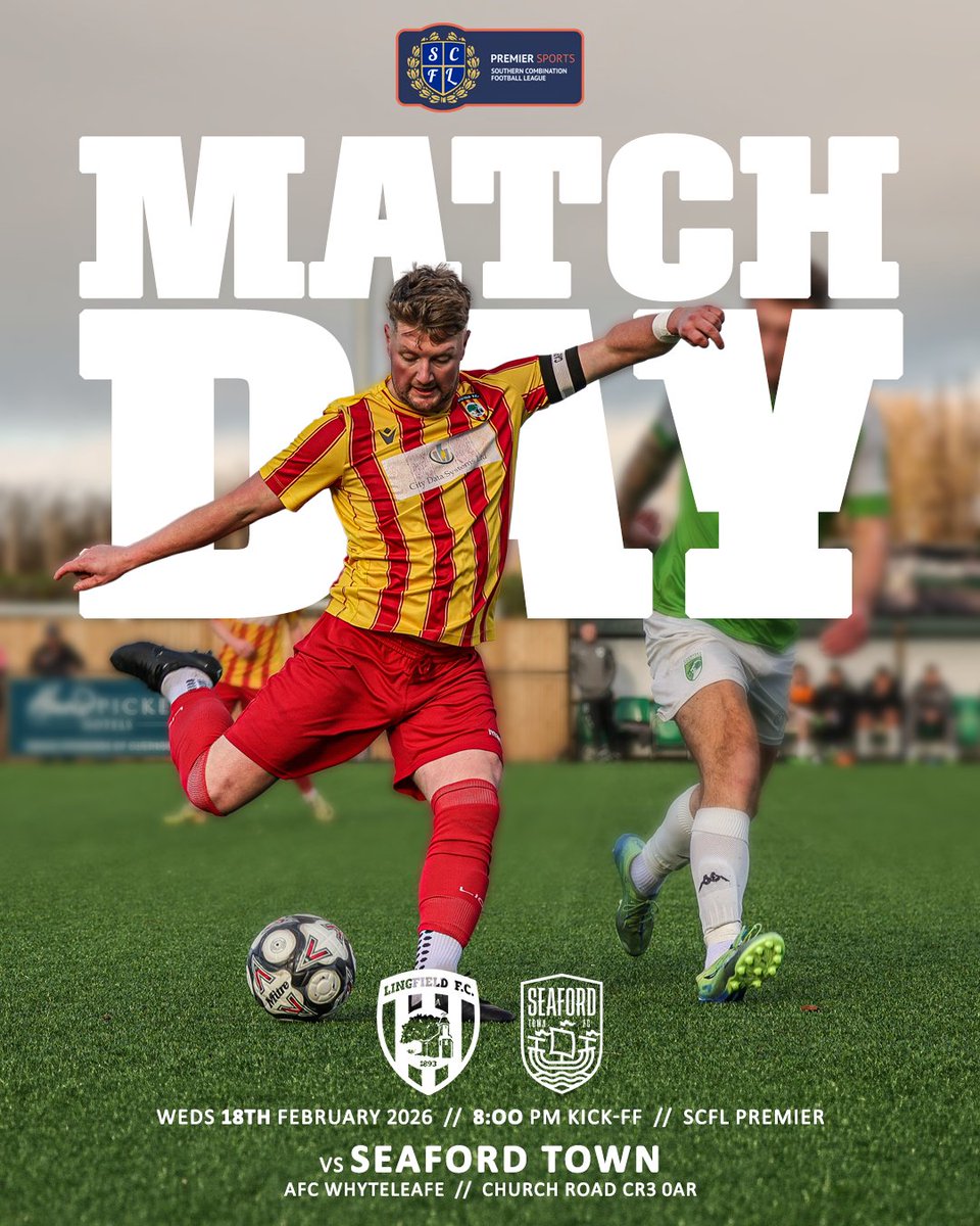 Lingfield FC ⚽️ tweet media