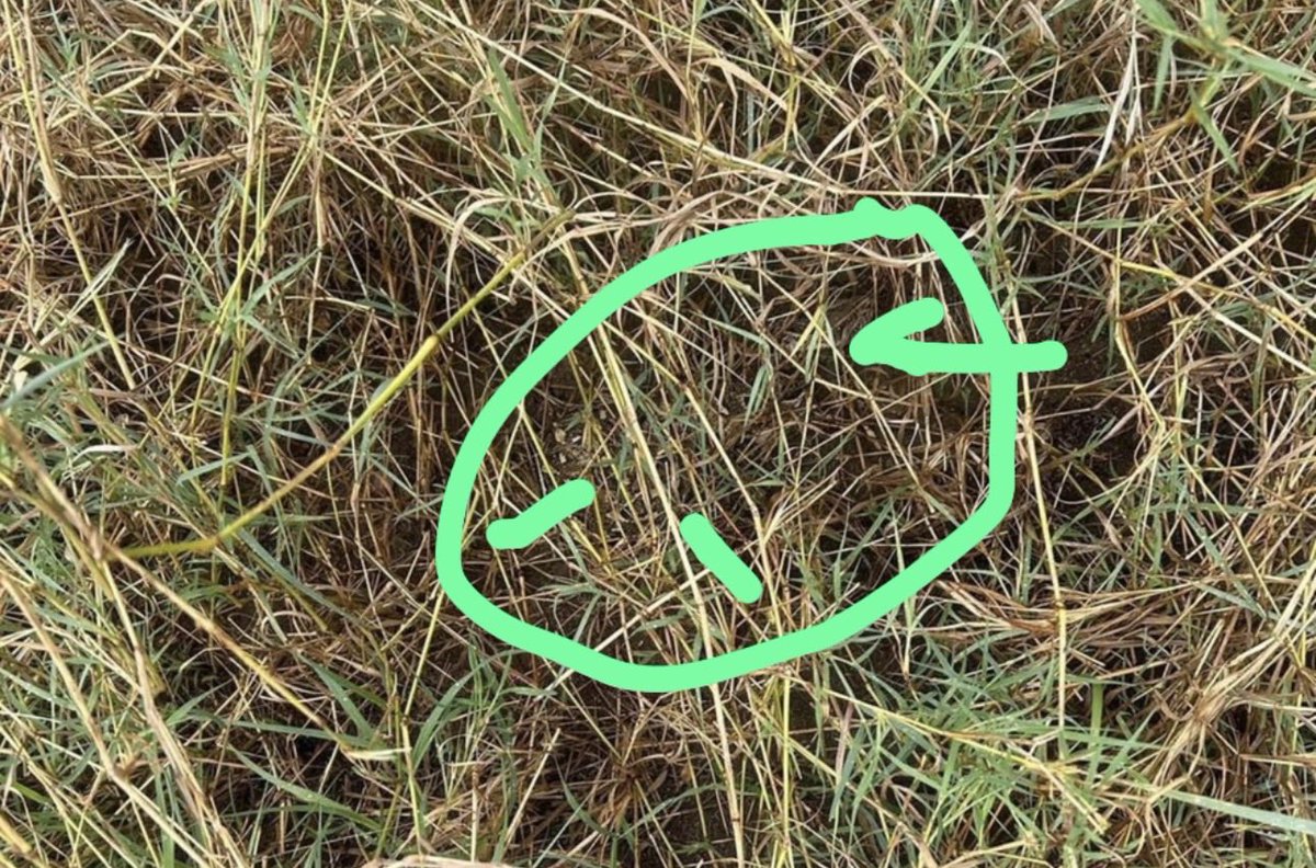 Mpho 💕 tweet media