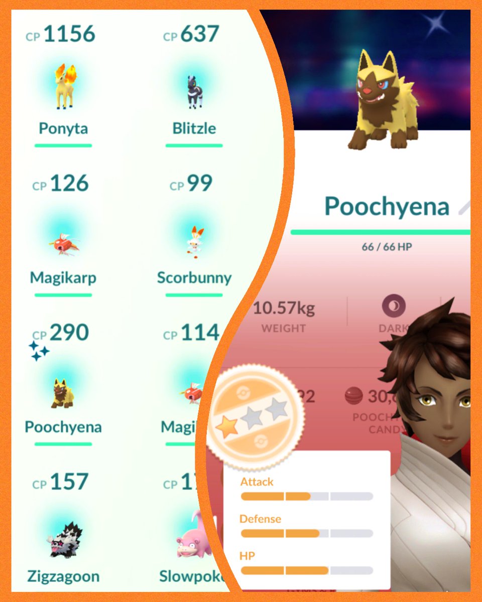 KamikeoPoGo's tweet photo. ✨#ShinyPOOCHYENA✨
✨#ShinySHUCKLE✨
✨#ShinyMEOWTH✨
#LunarNewYearEvent

✨🍀SHINY!🍀✨ 

... 👊🏾🐻  GRIND! 
#PokemonGoPlusPlus #ShinyPokemon 
#POOCHYENA #SHUCKLE #MEOWTH #ShinyGameIsStrong #OnlyMatterOfTime #ShinyHunter #PokemonGo https://t.co/eeuUdHmd8i