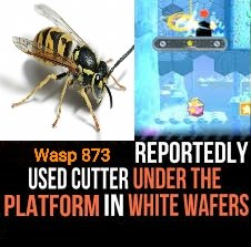 300,000,002 Yellow Jacket Wasps (@arithedumb) on Twitter photo 